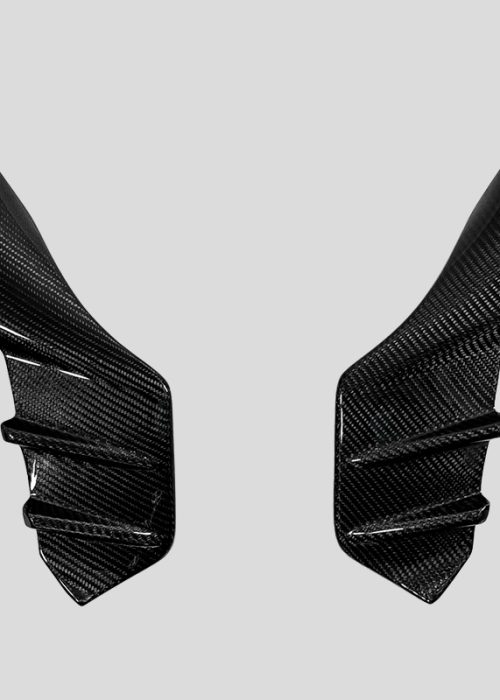 Taycan 2021-2023 Carbon Fiber Front Bumper Air Intake Trim V1