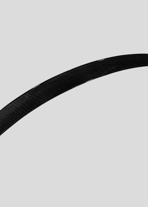 Taycan 2021-2025 Carbon Fiber Ducktail Spoiler